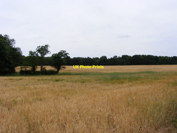 Photo 6"x4" Fields near the Angles Way Camps Heath c2010