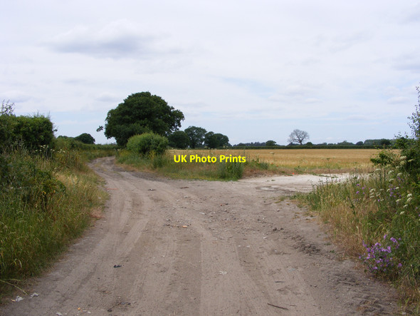 Photo 6"x4" The Angles Way towards Somerleyton Blundeston c2010
