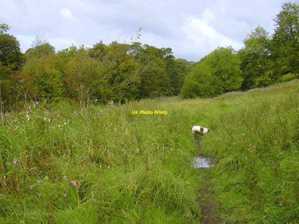 Photo 6"x4" Footpath to Snig Hole from Irwell Vale Ewood Bridge c2010