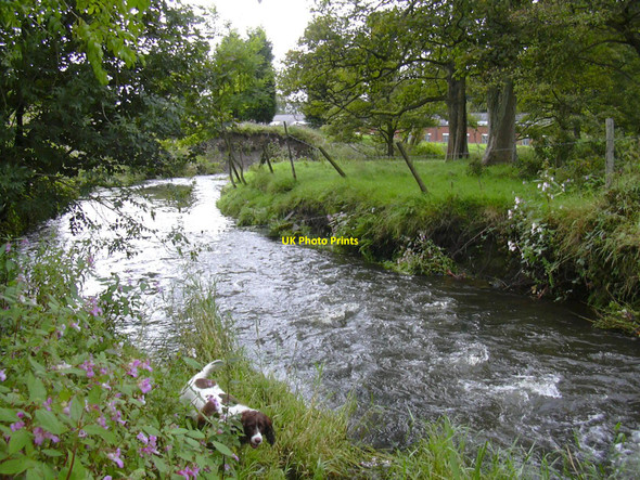 Photo 6"x4" River Ogden Ewood Bridge c2010