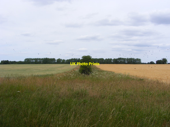 Photo 6"x4" Field boundary near the Angles Way Herringfleet c2010