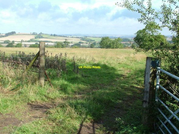 Photo 6"x4" Fields north of Oakham Oakham\/SK8509 c2010