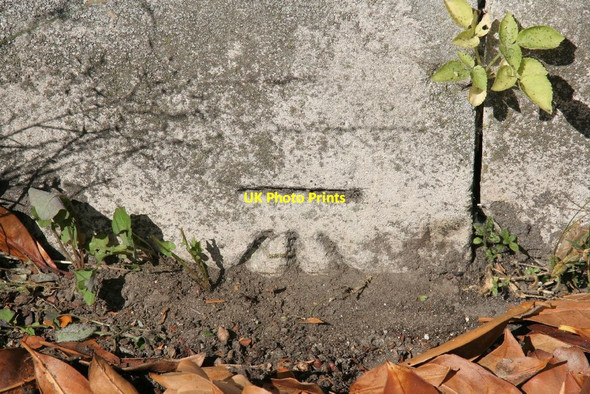 Photo 6"x4" Bench mark near the lodge Wallingford c2010