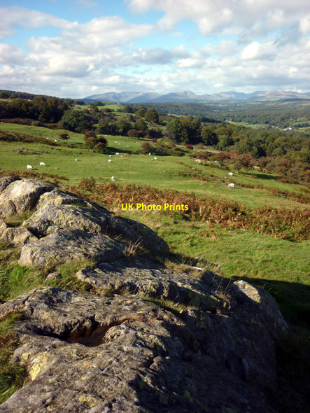 Photo 6"x4" Looking north from Raven's Barrow Cartmel Fell c2010