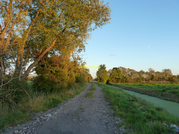 Photo 6"x4" Track and reen in evening light, near Whitson Whitson c2010