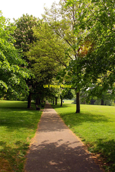 Photo 6"x4" Footpath across Royal Victoria Park Bath\/ST7464 c2010