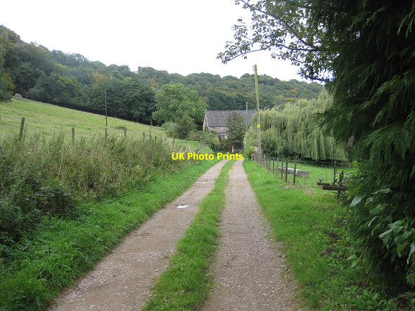 Photo 6"x4" Approaching Hom Grove Farm Drybrook c2010