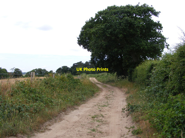 Photo 6"x4" The Angles Way towards Somerleyton Herringfleet c2010