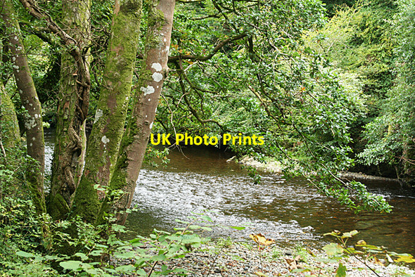 Photo 6"x4" Buckland Monachorum: river Tavy Buckland Monachorum c2010
