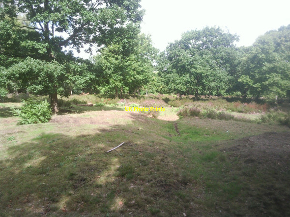 Photo 6"x4" The tumulus in Lesnes Abbey Woods Erith c2010