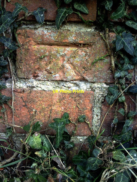 Photo 6"x4" Benchmark on wall at junction of Sellwood Road and Terrington Close Abingdon c2010