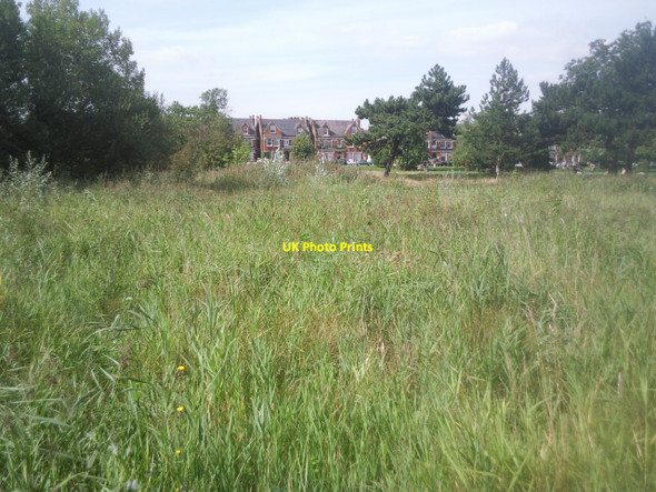 Photo 6"x4" The Old Yachting Pond on Tooting Graveney Common Streatham c2010
