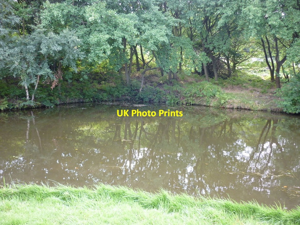 Photo 6"x4" Walking along the Leeds to Liverpool Canal #135 Baildon c2010