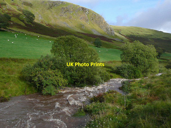 Photo 6"x4" Afon Tywi north of Dolgoch Hostel, Ceredigion Dolgoch\/SN8056 c2010