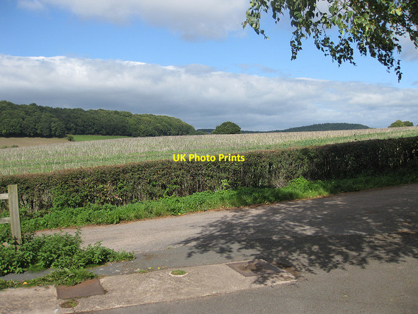 Photo 6"x4" Harvested rape crop Hope Mansell c2010