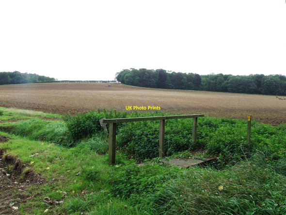 Photo 6"x4" Footbridge And Field Dalham c2010