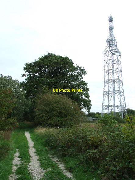 Photo 6"x4" B.T. Mast Genesis Green c2010