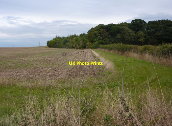 Photo 6"x4" Field towards Wadnal Plantation Moorhouse\/SK7566 c2010