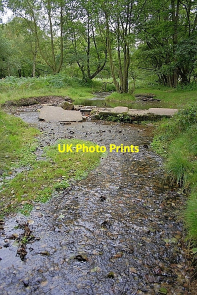 Photo 6"x4" Sher Brook Brocton\/SJ9619 c2010