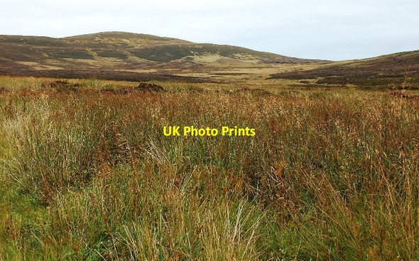 Photo 6"x4" Moorland on North Dales Ireland\/HY3009 c2010