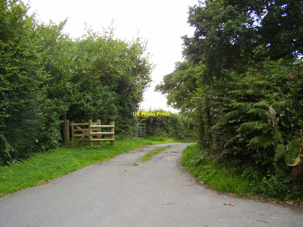 Photo 6"x4" Footpath and driveway near the Halfway inn Nine Oaks c2010