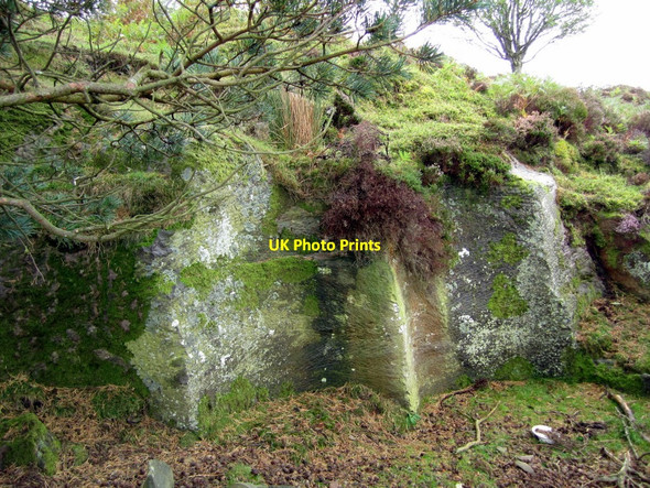 Photo 6"x4" Beanley Moor millstone quarry Beanley c2010