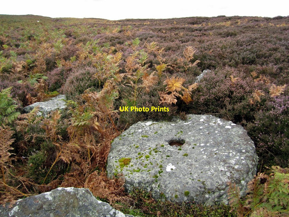 Photo 6"x4" Millstone, Beanley Moor Eglingham c2010