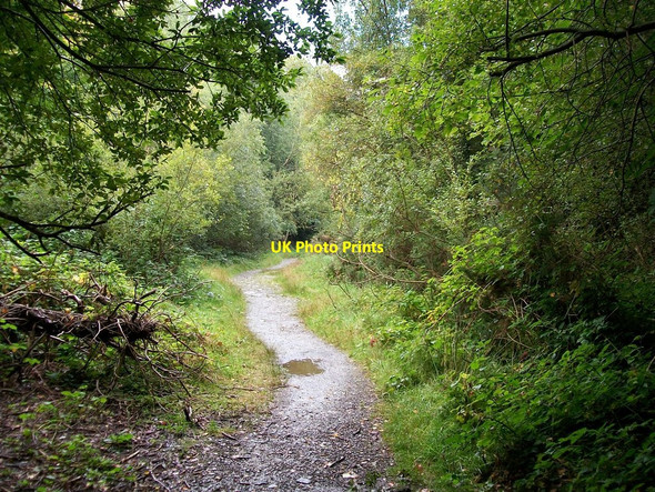 Photo 6"x4" Low level path eastwards from Donard Bridge Newcastle\/J3732 c2010