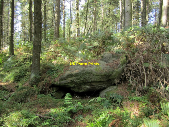 Photo 6"x4" Rock outcrop, Beanley Plantation Beanley c2010