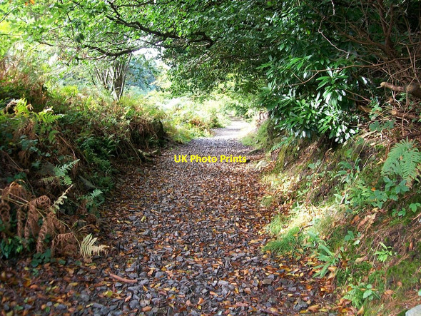 Photo 6"x4" The middle section of the Bogie Incline now part of the Granite Trail Newcastle\/J3732 c2010