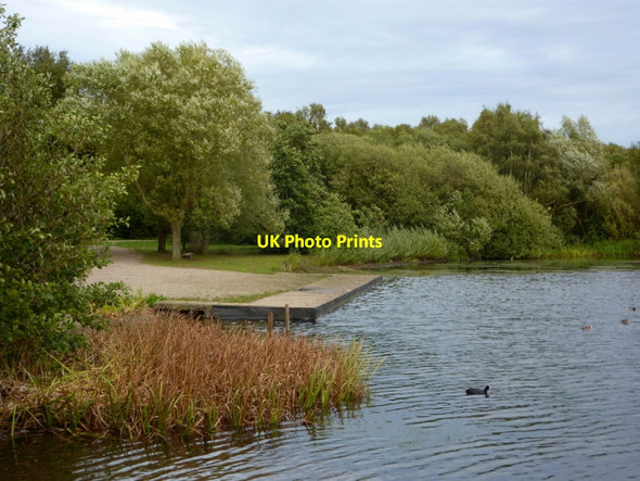 Photo 6"x4" Breezy evening at Daneshill Lakes Torworth c2010