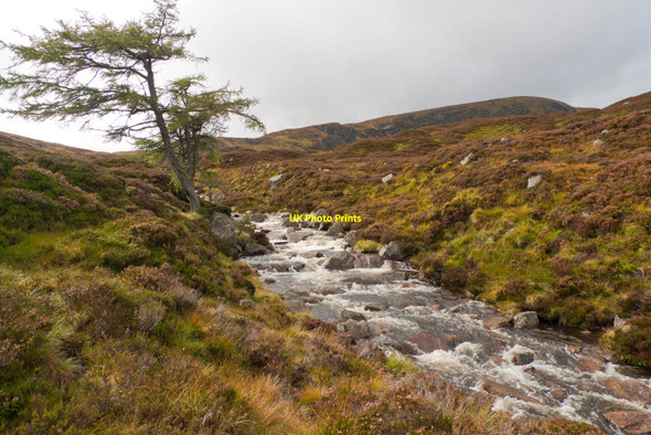 Photo 6"x4" Burn of Gowal Broad Cairn c2010