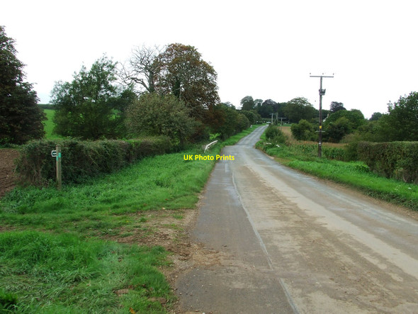 Photo 6"x4" Country Road Dalham c2010