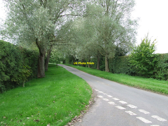 Photo 6"x4" Country Road Genesis Green c2010