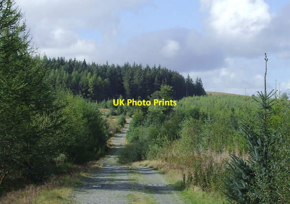 Photo 6"x4" Forestry road on Dalarwen, Ceredigion Llyn Brianne\/SN7951 c2010