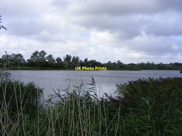 Photo 6"x4" Rockland Broad from the Wherryman's Way Claxton\/TG3303 c2010