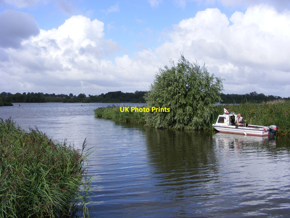 Photo 6"x4" Rockland Short Dike entering Rockland Broad Buckenham c2010