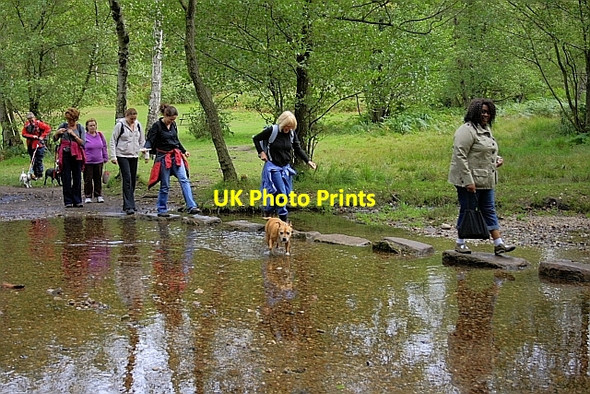 Photo 6"x4" Stepping Stones Brocton\/SJ9619 c2010