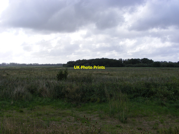 Photo 6"x4" Rockland Marsh from the Wherryman's Way Buckenham c2010