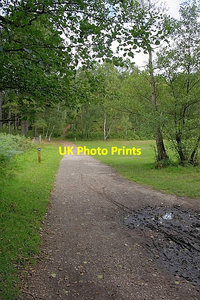 Photo 6"x4" Public Bridleway, Sherbrook Valley Brocton\/SJ9619 c2010