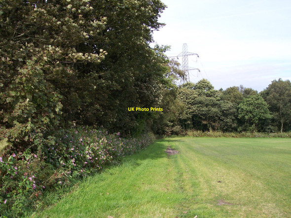 Photo 6"x4" Woodland meets pasture land at Tawd Vale Skelmersdale c2010