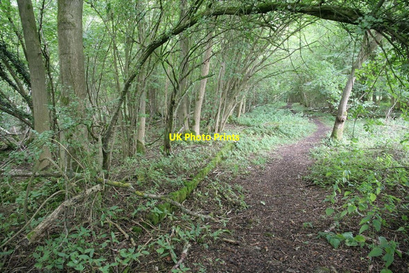 Photo 6"x4" Base by the path Four Points c2010