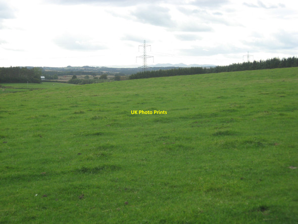 Photo 6"x4" Upland grazing in East Lothian Gilchriston c2010