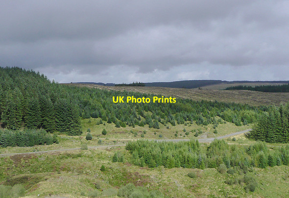 Photo 6"x4" Forestry plantations on Esgair Gerwyn, Ceredigion Nant y Gerwyn c2010