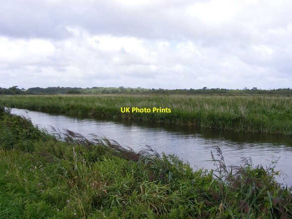 Photo 6"x4" Marshes near Rockland Short Dike Buckenham c2010