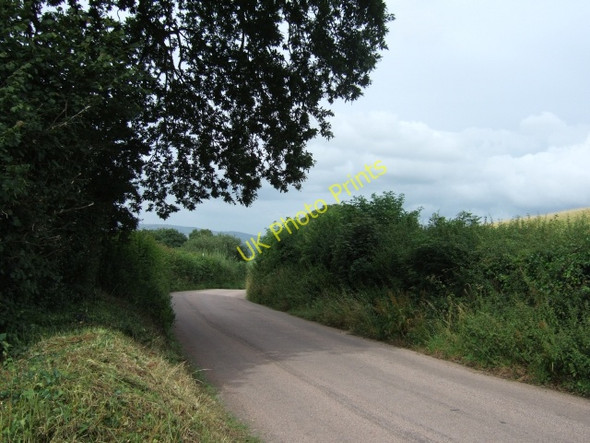 Photo 6"x4" Pennsylvania Road, Exeter, by Stoke Woods Pennsylvania\/SX9294 c2009