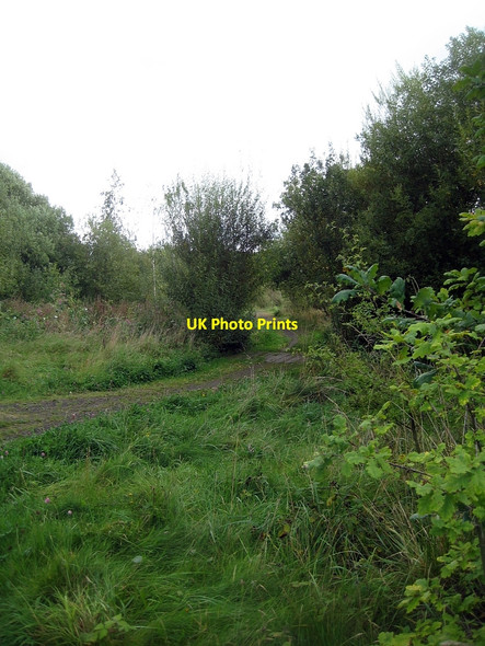 Photo 6"x4" Yet more of Stanley Ferry Flash (1) Wakefield\/SE3320 c2010