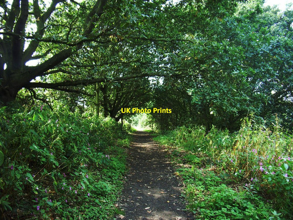 Photo 6"x4" Half Moon Lake Footpath, Kirkthorpe Wakefield\/SE3320 c2010