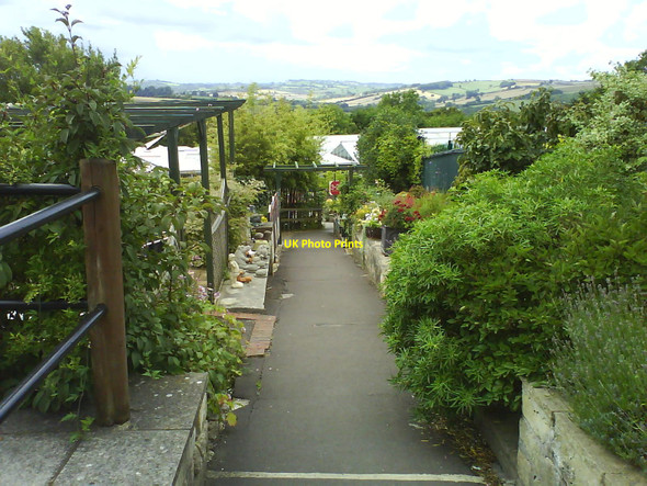 Photo 6"x4" Pathway in Hilliers Garden Centre Bath\/ST7464 c2010