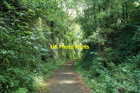 Photo 6"x4" Brixton: cutting on the old Yealmpton branch Combe\/SX5452 c2010